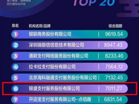 银盛支付:2019年银行卡收单前蝉联全国十强