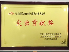 宝山区政府领导亲临《付临门》总公司指导工作