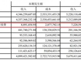 拉卡拉2019年报曝光,实现营收4.4亿元,同比增幅达120%