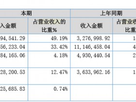 易付通2019年报:收入3068.9万余元,同比增长率33.50%