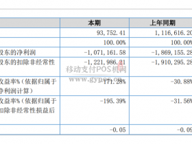 这家上市支付服务商半年营收9.3万,全公司仅余8人