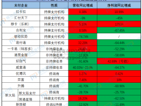 从15家盈亏,看支付公司上市的起点与重点
