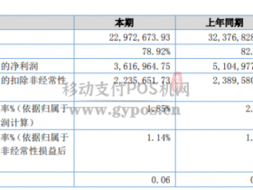 你好现在支付机构上半年主要靠