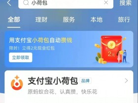 支付宝上线