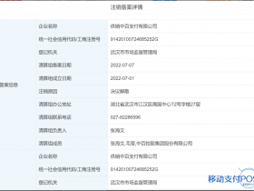 中百支付注销牌照备案信息,原因:决议解散