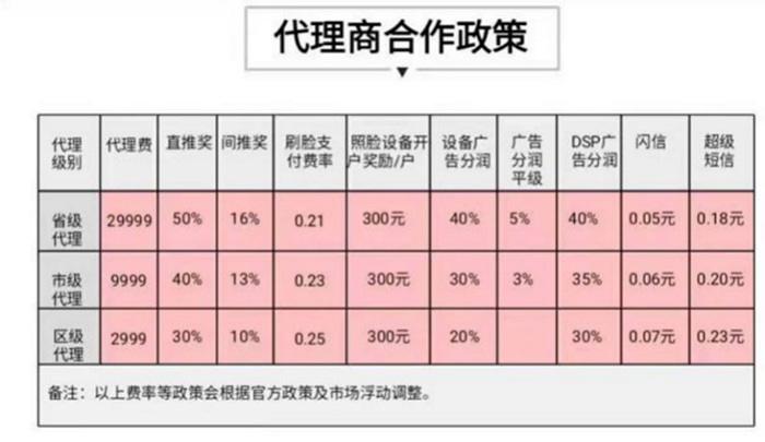 刷脸支付代理商政策表图